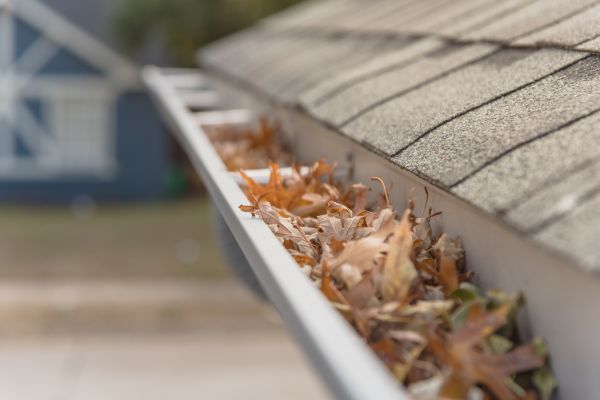 Leaf Barrier Installation in Pittsburgh