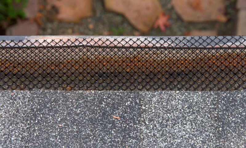 Close-up of Mesh Gutter Cover